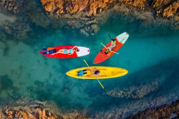 教育部体育类培训机构(图1)